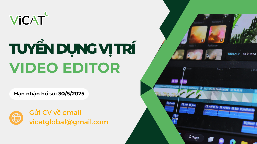 tuyen video editor
