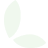 Giới thiệu 2025 25 icon leaf