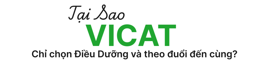 Giới thiệu 2025 24 why vicat 2