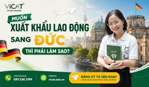 d407db4c 658f 4c57 ba33 b8f3cc57bc68